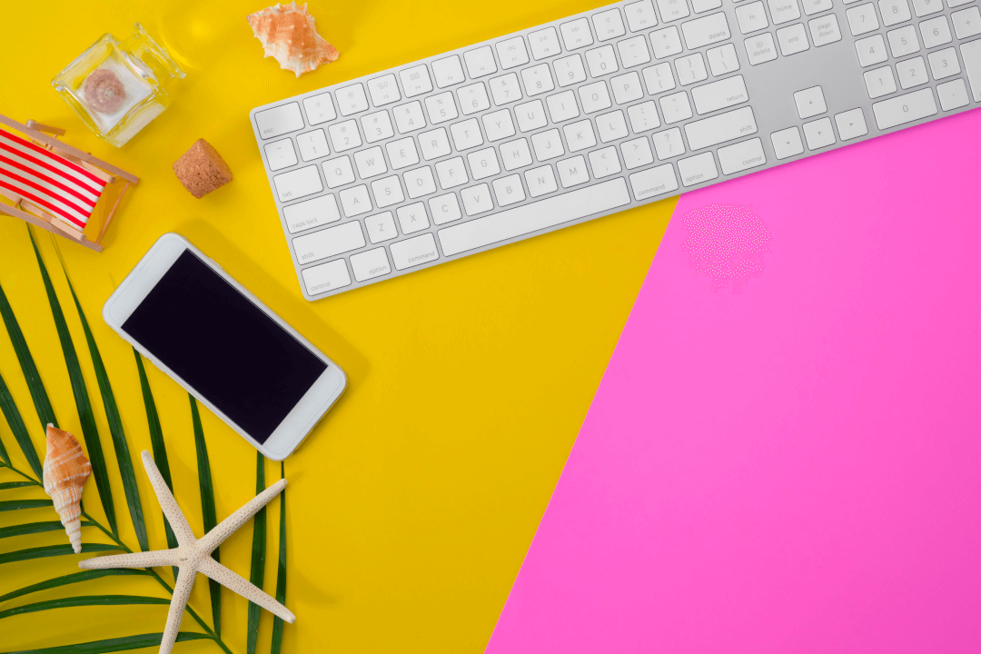 Categoria elettronica